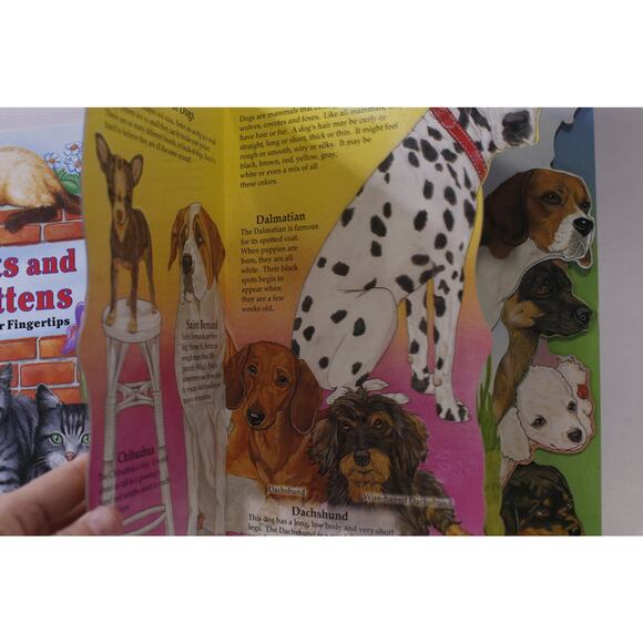 Cats and Kittens At Your Fingertips, Dogs & Puppies At Your Fingertips - Picture 3 of 3